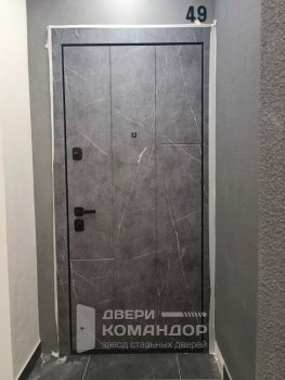 Входная металлическая дверь Stardis Trend