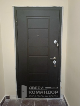 Входная дверь Torex Delta Pro MP