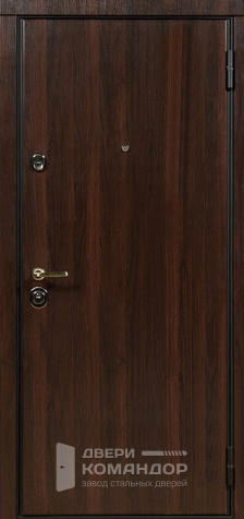 Железная дверь входная с зеркалом №3 - наружная сторона