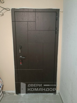 Входная дверь Графика 3К  Снедо